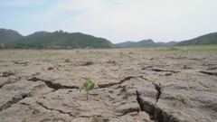 È l'Overshoot day, il pianeta ha esaurito tutte le risorse