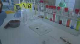 Garlasco, dna di "ignoto 3" dalla contaminazione di un'altra autopsia thumbnail