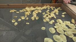 La guerra delle orecchiette, le pastaie incontrano il Sindaco di Bari thumbnail