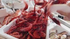 La Ue ha imposto il fermo alla cattura del gambero rosso
