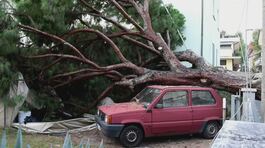 Nubifragio in Emilia Romagna, vento oltre 120 km all'ora thumbnail