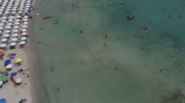 In Salento i rave si fanno in mare, a Porto Cesareo le feste "fuorilegge" thumbnail