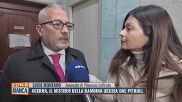 Acerra, il mistero della bambina uccisa dal pitbull thumbnail