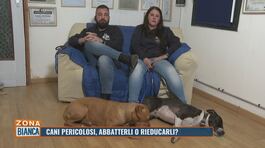 Cani pericolosi: abbatterli o rieducarli? thumbnail