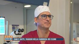 Cani e gatti, viaggio nella fabbrica dei cloni thumbnail