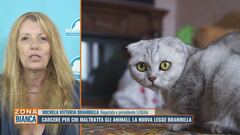 Carcere per chi maltratta gli animali, la nuova Legge Brambilla