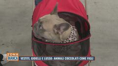 Vestiti, gioielli e lusso: animali coccolati come figli