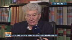 Caso Garlasco: le teorie di Lovati nelle apparizioni TV