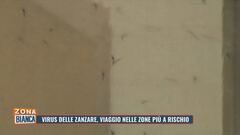 Virus delle zanzare: viaggio nelle zone più a rischio