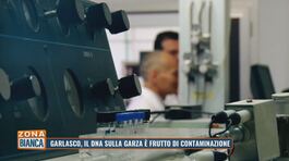 Garlasco, il dna sulla garza è frutto di contaminazione thumbnail