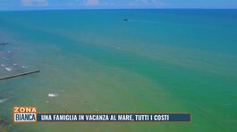 Una famiglia in vacanza al mare, tutti i costi thumbnail