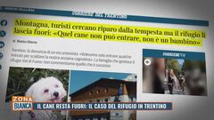 Il cane resta fuori: il caso del rifugio in Trentino
