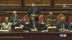 Il governo sulle crisi: "Unità transatlantica"
