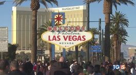 Sci a motore e robot il futuro a Las Vegas thumbnail