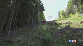Mottarone, nemmeno un giorno di carcere thumbnail