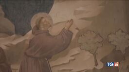San Francesco torna la festa! thumbnail