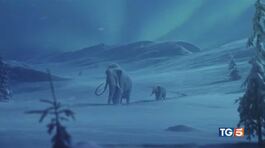 Rivedremo i mammut? thumbnail