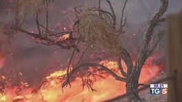 Nuovi incendi a Los Angeles thumbnail