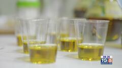 Gusto di Vino: Evolio expo 2025