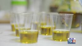 Gusto di Vino: Evolio expo 2025 thumbnail