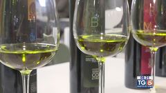 Gusto di Vino: l'olio extravergine di oliva