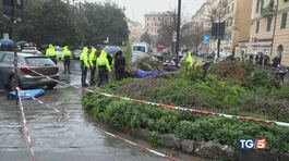 Genova, donna muore schiacciata da palma thumbnail