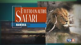 Verissimo, Bocelli 30 e Speciale sulla Namibia thumbnail