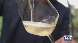 Gusto di Vino: Prosecco docg thumbnail