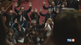 Voto decreto sicurezza, bagarre in aula Senato thumbnail