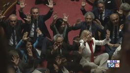 Ok al Dl sicurezza, proteste al Senato thumbnail