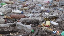 La plastica minaccia la vita e l'ambiente thumbnail