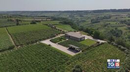 Gusto di Vino -  Vitigni d'Abruzzo thumbnail