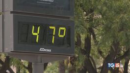 Caldo torrido e incendi, clima estremo nel mondo thumbnail