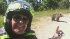 Il selfie con l'orsa, imprudenza fatale