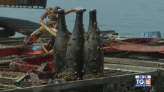 Gusto Di Vino: un tesoro in fondo al lago