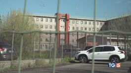 In fuga dopo la laurea, mai tornato in carcere thumbnail