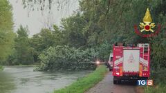 La furia del maltempo Travolta da un albero
