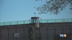 Strage Corinaldo "Si penta e torni"