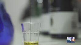 Gusto DiVino: Vino e olio, binomio d'eccellenza thumbnail
