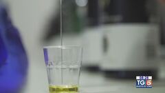 Gusto DiVino: Vino e olio, binomio d'eccellenza