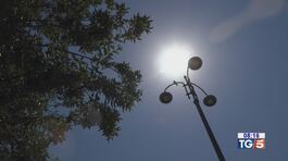 Oltre 40 gradi al sud, piogge forti al nord thumbnail