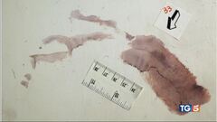 Sull'impronta n.33 scontro tra periti