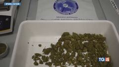 Nel menu anche la marijuana