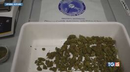Nel menu anche la marijuana thumbnail