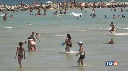Mare, montagna, arte La corsa alle vacanze thumbnail