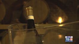Gusto di Vino: il Verdicchio thumbnail