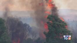 Emergenza incendi, oggi allerta in Sardegna thumbnail