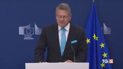 Usa-Ue, "Dazi, testo con Stati Uniti è in fase avanzata"