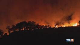 È emergenza incendi Piromani in manette thumbnail