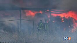 Incendi in aumento, piromani arrestati thumbnail